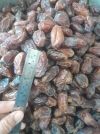خرمای کبکاب آجیلی فله سوپر سلکت حبه چهار سانتی